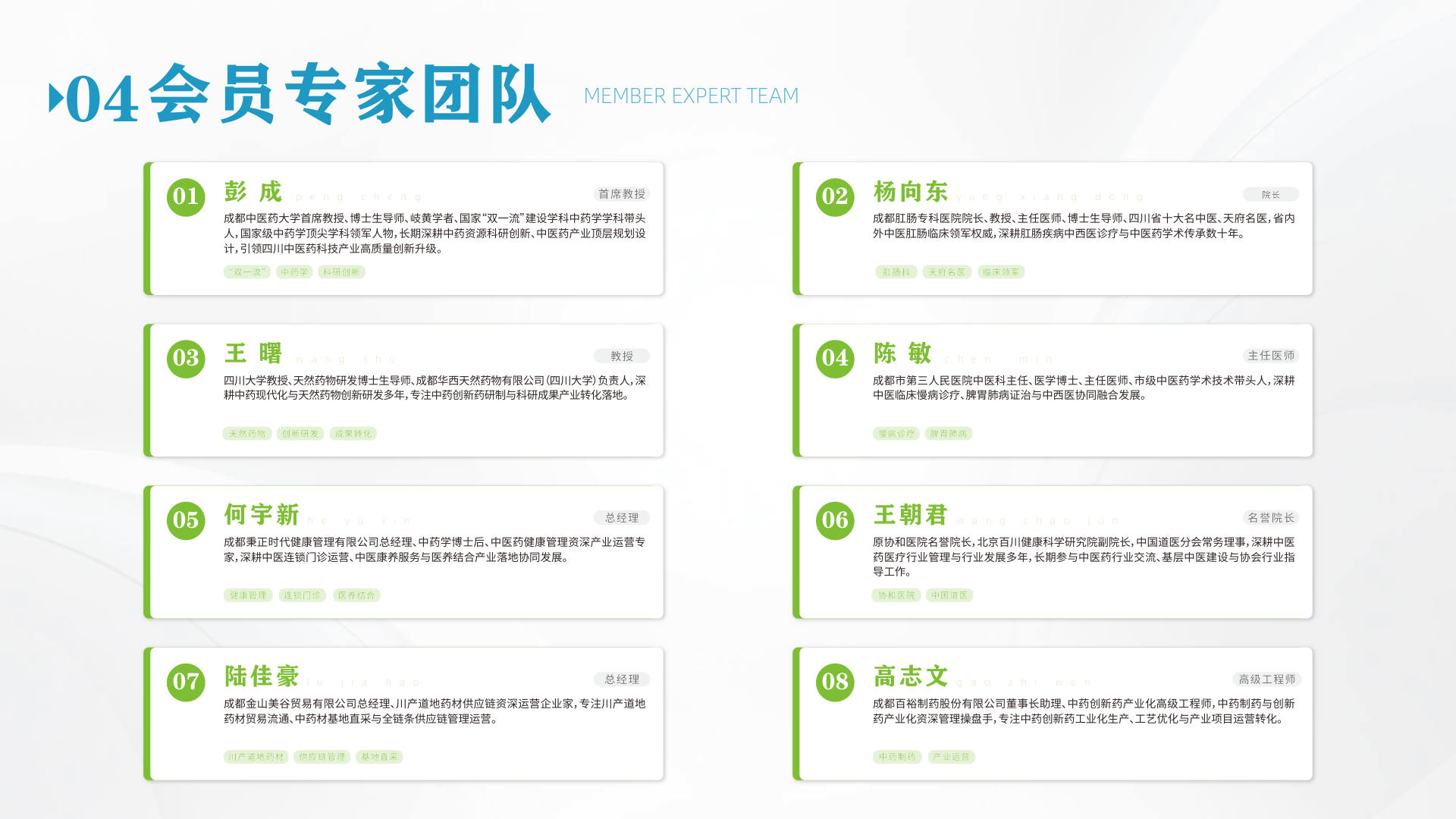 PPT专家库页